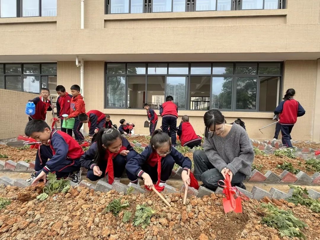 龙岩小洋小学"香樟百草园"中草药种植开园仪式举行