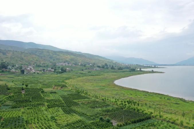 一线动态 丽江市永胜县:以"革命性"举措推进程海生态修复