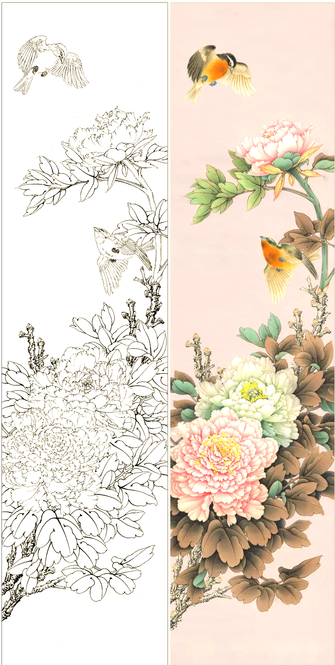 工笔花鸟画四条屏高清底稿,多种主题,临摹收藏之选