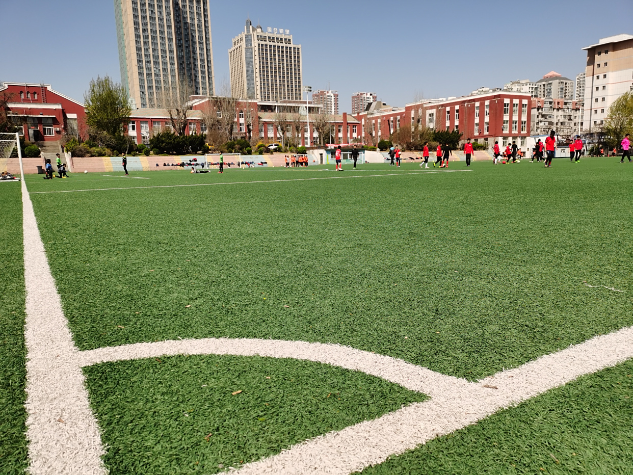 顶级赛事本周六启幕!东北路小学杯国际青少年足球精英赛全程直播