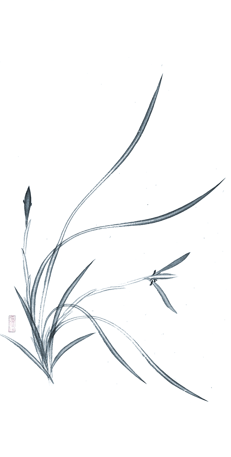 兰花春碧秋更红,多首诗篇咏其美