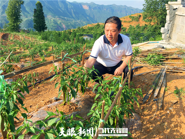 做好脱贫攻坚"晴隆证明题"丨访晴隆县委书记袁建林