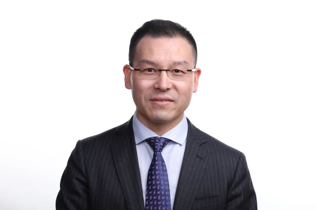 田建辉|从自然中勃发的生命力量