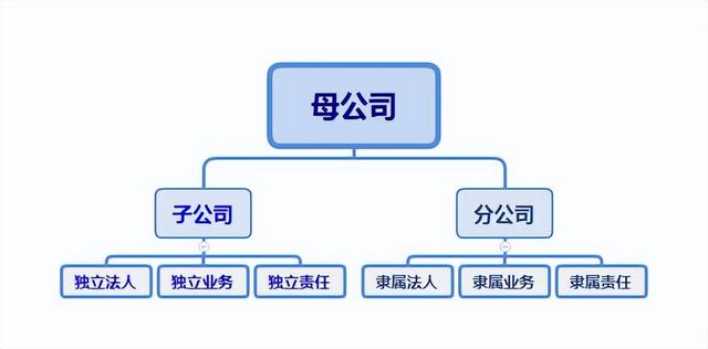 分公司和子公司的区别图片