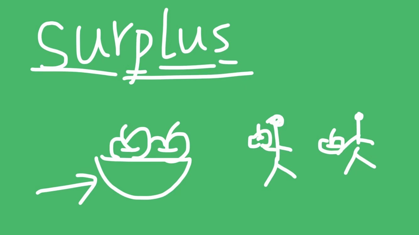 surplus什么意思