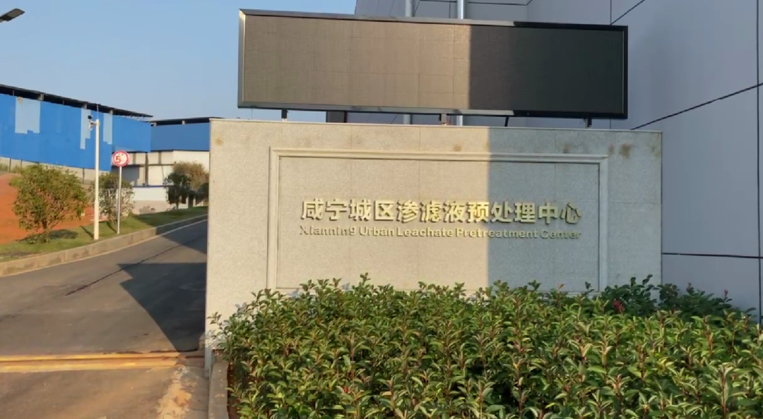 科力迩 图片