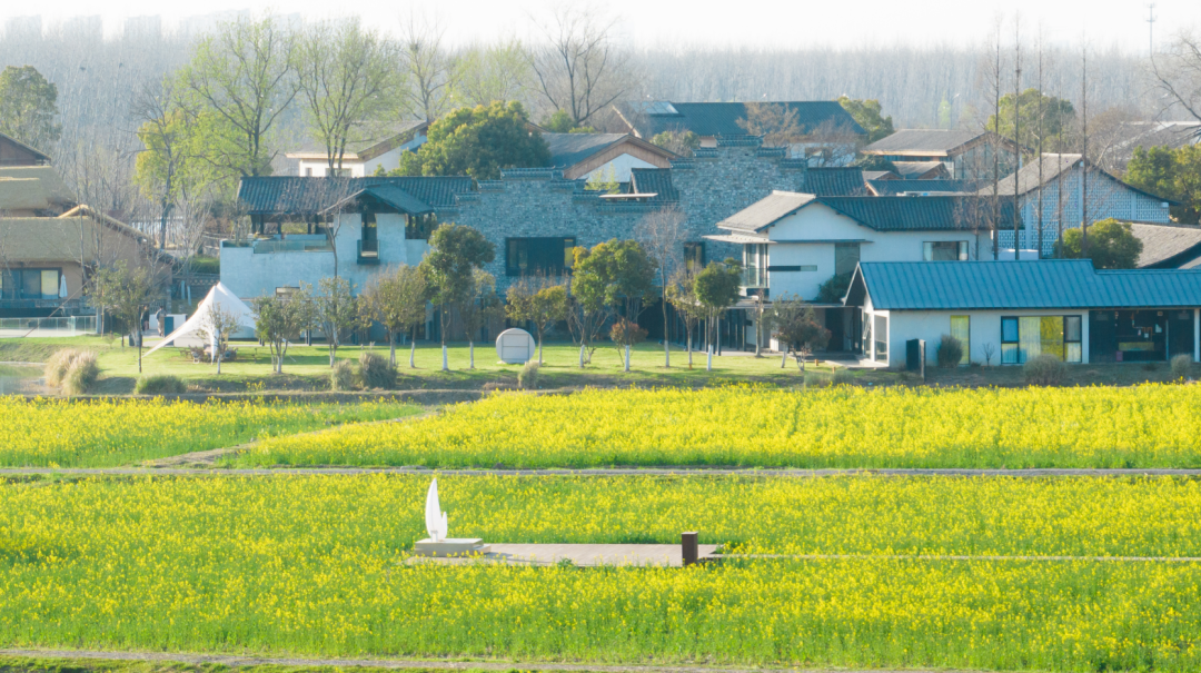 推荐线路>推荐线路:磨滩旅游度假区>方兴湖公园>合肥滨湖国家森林公园