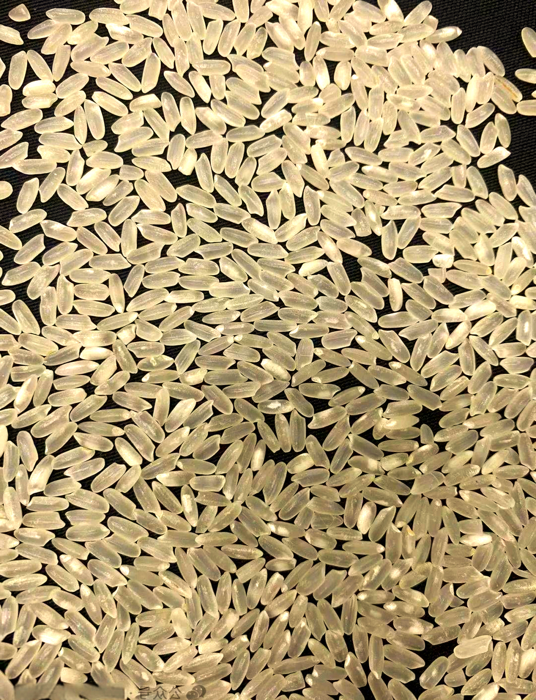 稻花香2号与原粮稻花香的区别及各自特点详解