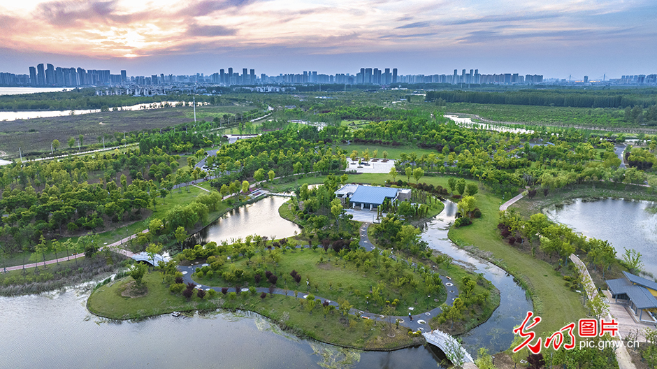 襄阳鱼梁洲湿地公园图片