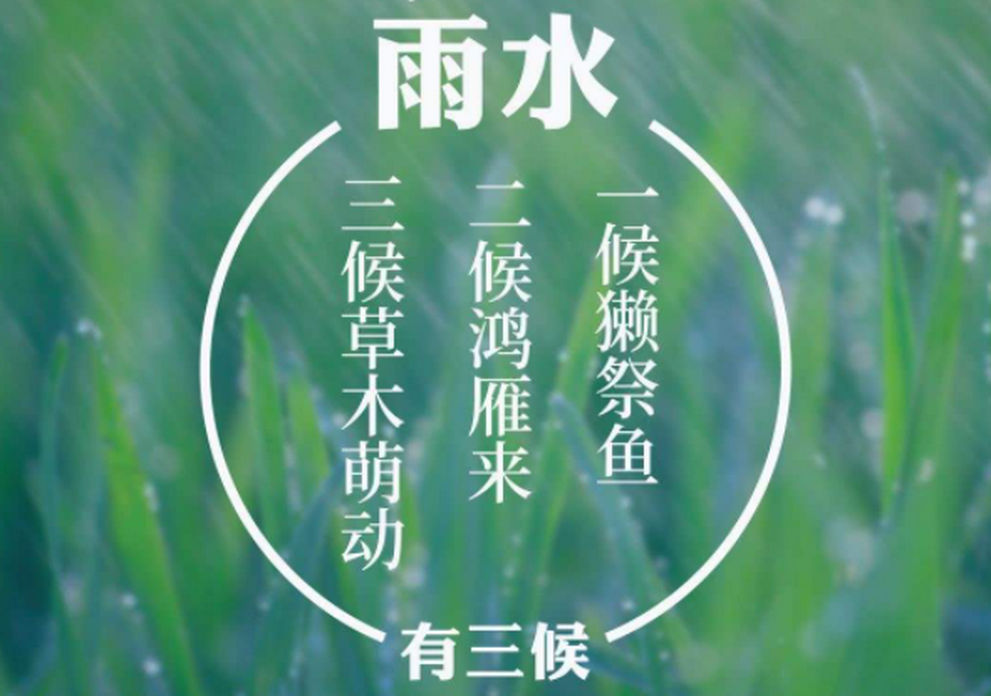 从"雨水三候"中体悟责任担当毅勇前行