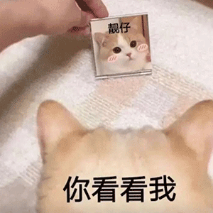 酷开无界:把用户的每一块屏幕都打上广告!