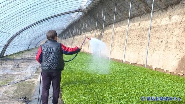 坚持两手抓 夺取双胜利