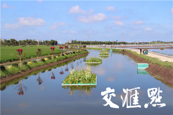 "四个全覆盖"确保监管常态化,兴化兴东镇走出养殖尾水排放监管新路子