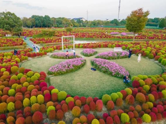 花开海上生态园简介图片