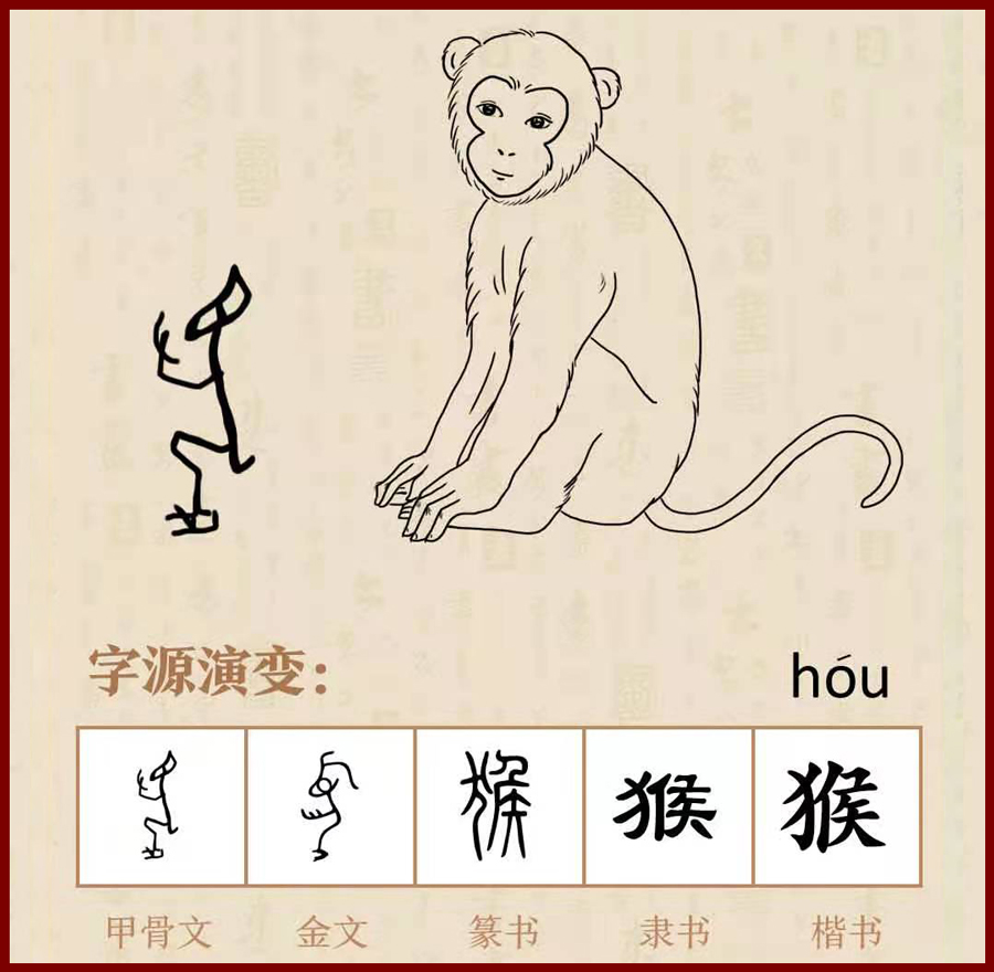 汉字猴的演变过程图片图片