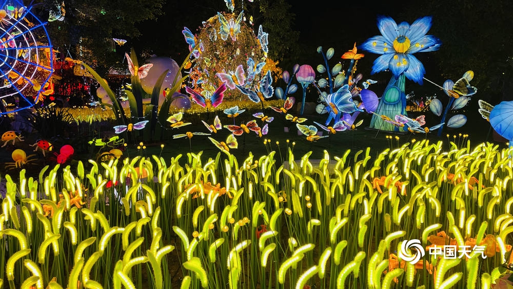 喜迎春节 广西南宁青秀山花灯流光溢彩