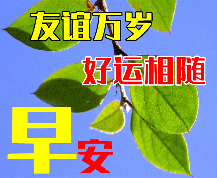经典早安心语,在这个美好的一天,愿你的心情充满灿烂的阳光