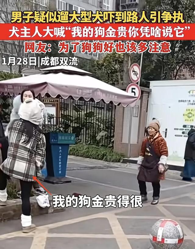 闹大了,女子遛大型犬吓到人,口出狂言:我的狗比你金贵!