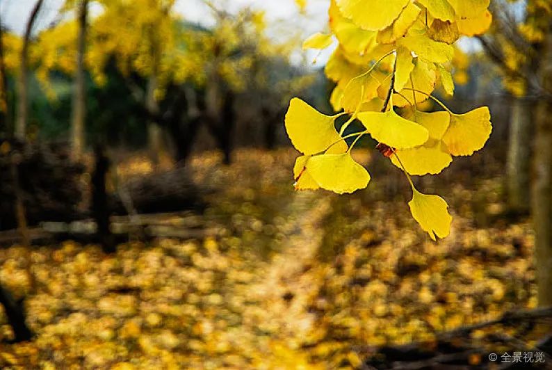 步入秋天了,虽然这意味着即将换上秋装和炎炎夏日say byebye,但并不