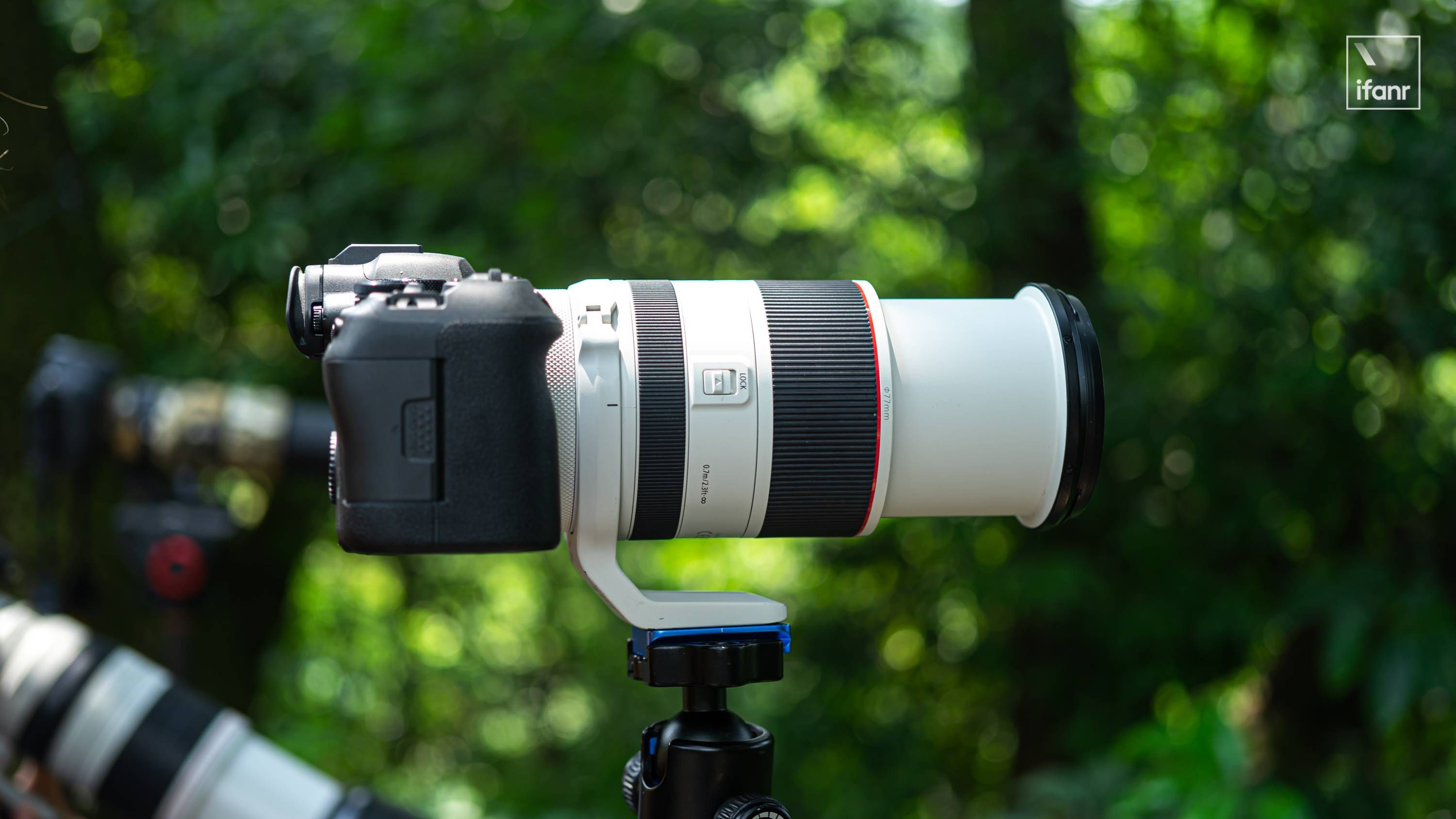 佳能eos r6 mark ii评测:rf系统的专业基础,新人一步到位的选择