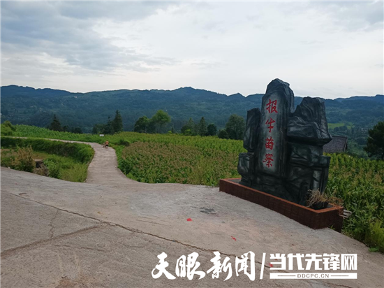 凯里市凯棠镇:乡村如画皆是景 一村一域"韵"动人