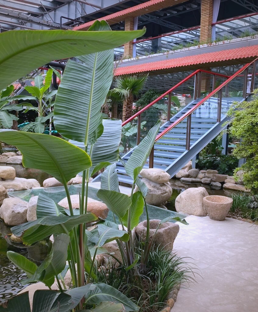 金沙洲壹号庄园:体验现代与自然融合的悠闲假期