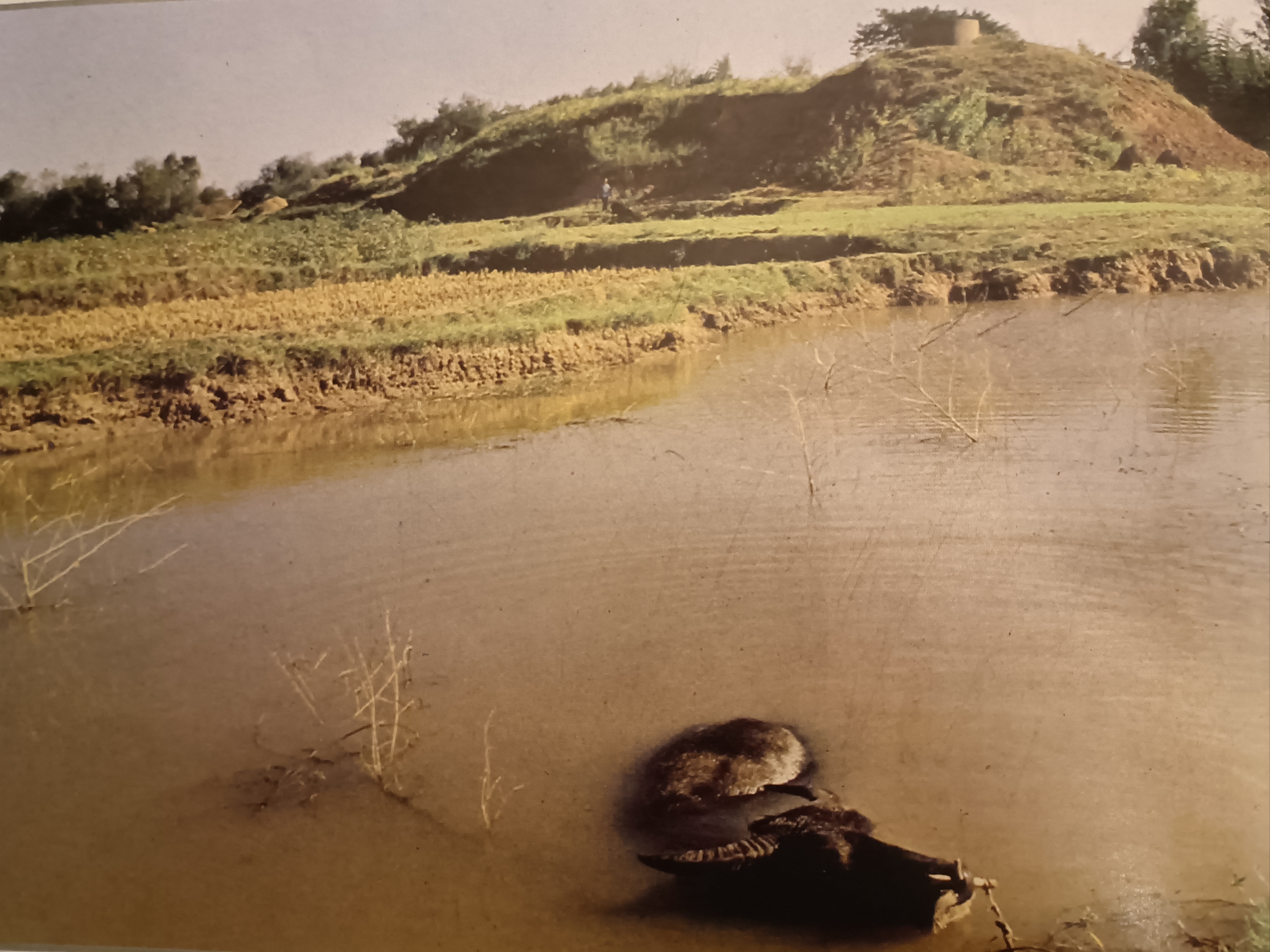 麦城遗址(朝阳山)正义