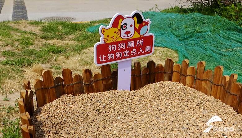 潍坊市坊子区:宠物公厕上线 文明养犬更进一步