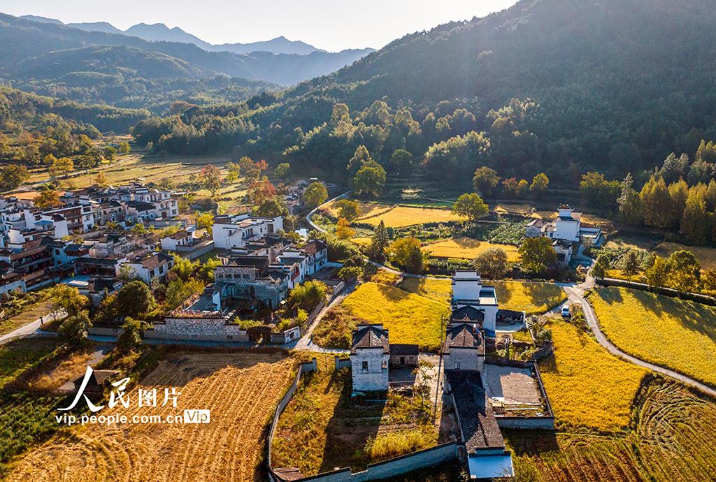 安徽黟县:宏村田园秋色迷人