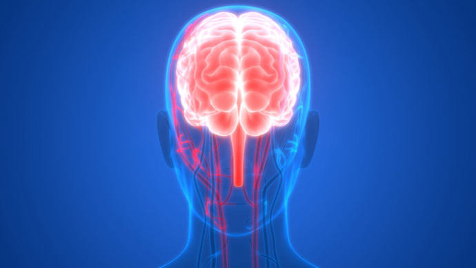 科学家绘制迄今最全人脑细胞图谱,有助于推进脑部疾病和认知能力等