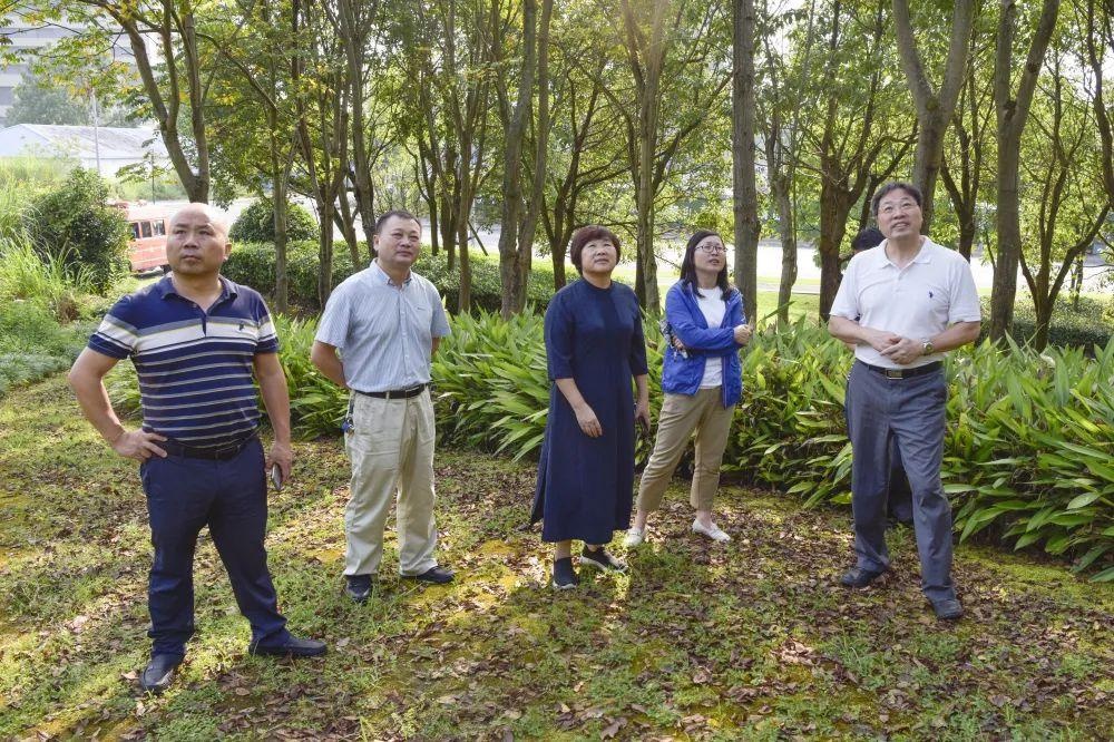 省林业局领导杨幼平赴淳安调研指导松材线虫病防治工作