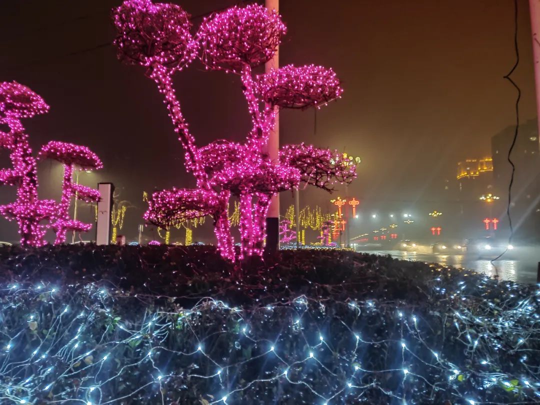 驚豔!美麗單縣點亮春節夜景,流光溢彩年味十足!