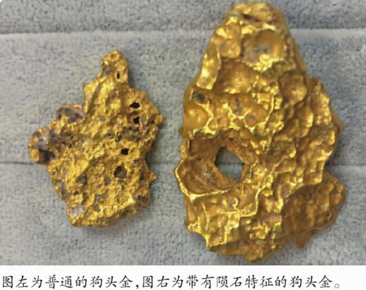 男子在煤堆发现1公斤狗头金,价值上千万