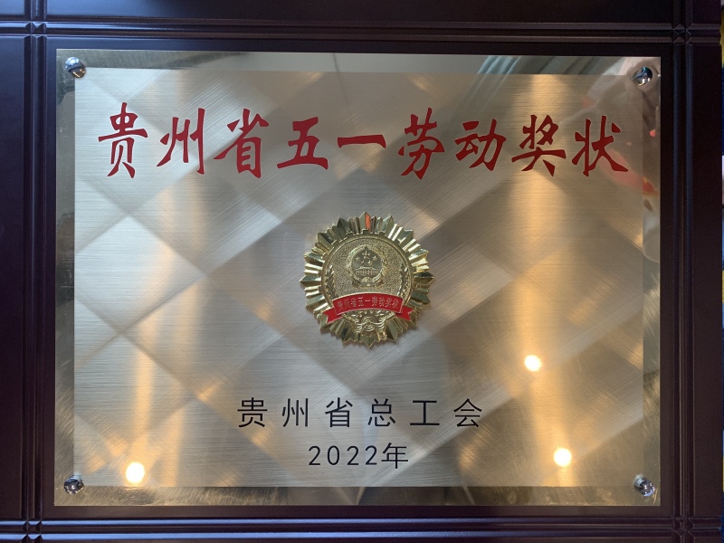 贵州电商云荣获贵州省"五一"劳动奖章