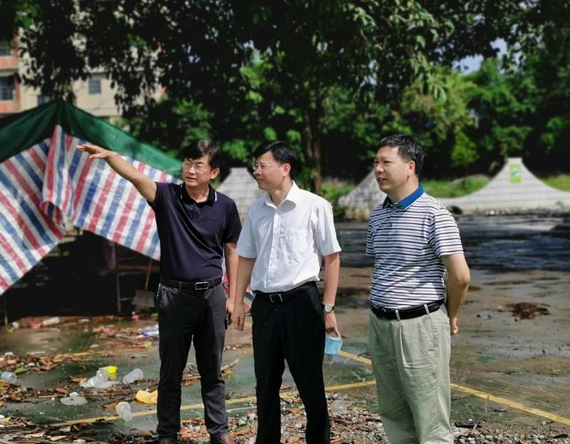 惠环街道主要领导杨鸿辉到zka33-02 片区查看拆迁进度