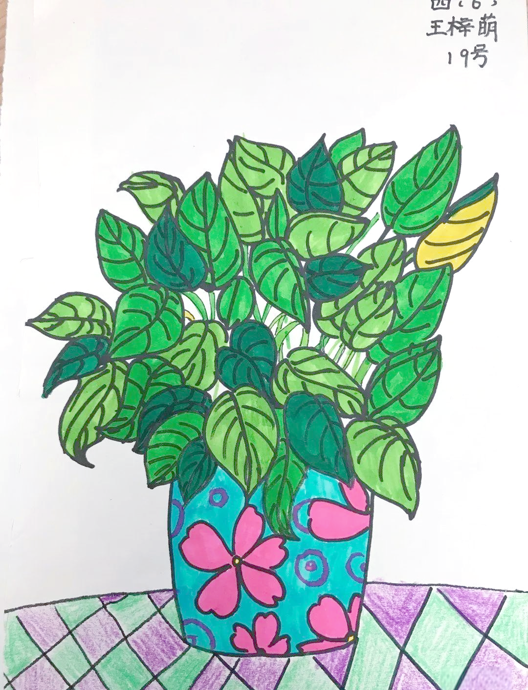 四年级学生植物写生作业精选