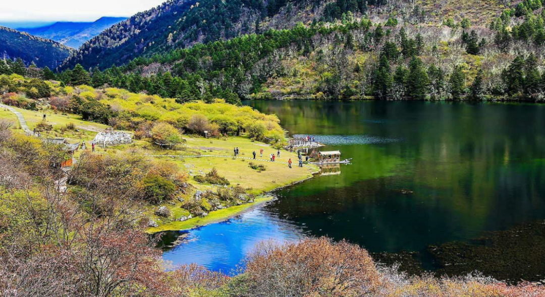 木格措風景區又名康定情歌風景區,是一處觀賞雪山,草原,原始森林,杜鵑