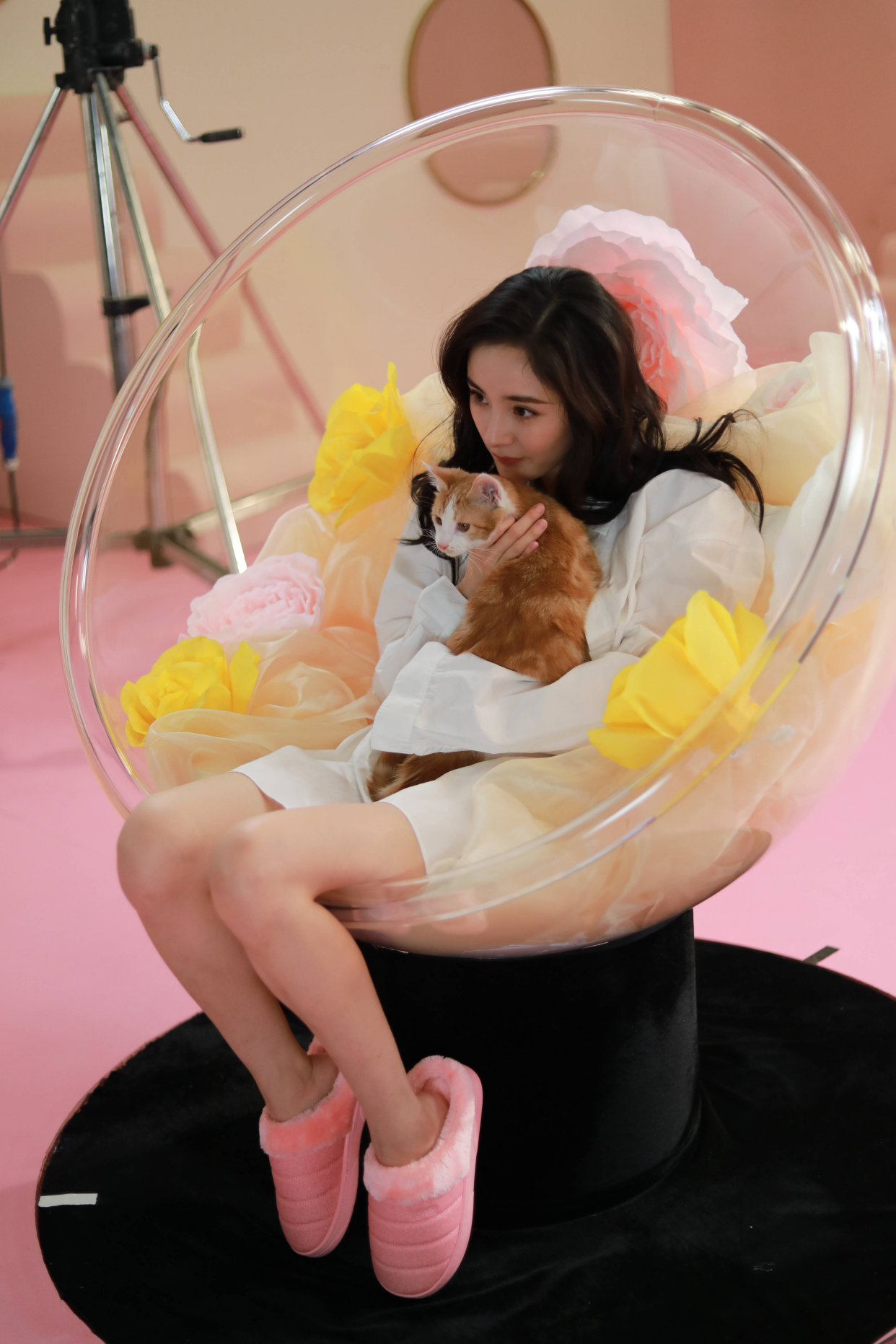 杨幂赤足拍写真,露出粉色脚趾甲,脚上"9.9元包邮棉拖鞋"吸睛