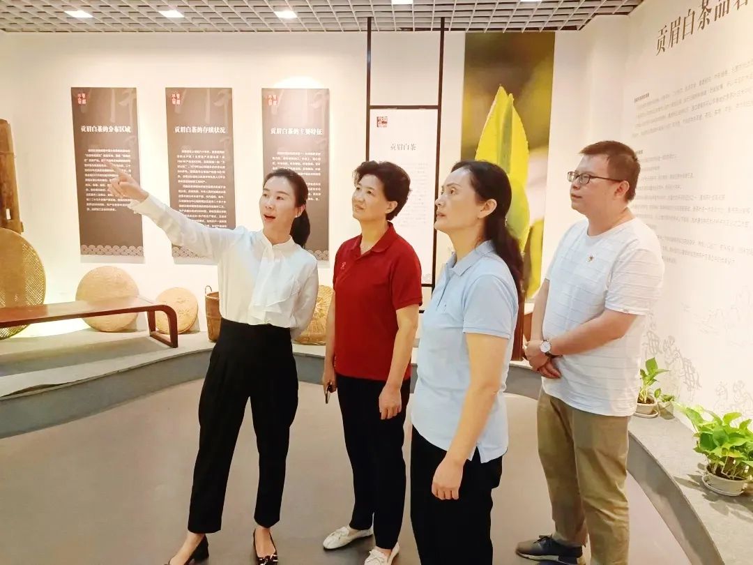 再调研|南平市妇联领导深入乡镇调研村级组织换届女性进村"两委"工作