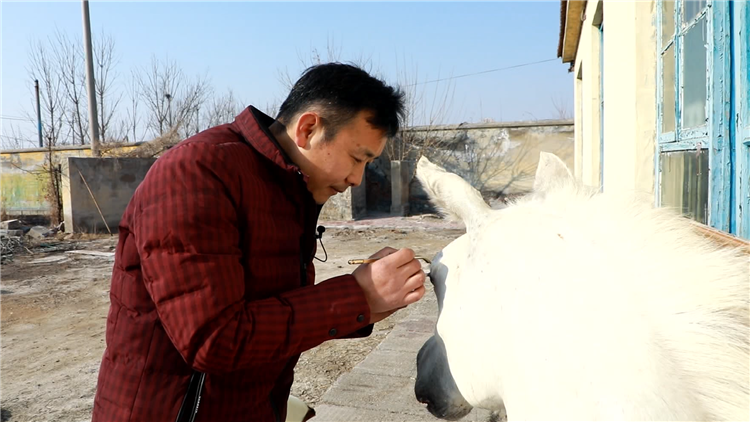 东营董涛小到小龙虾大到座头鲸12年制作动物标本2000余件