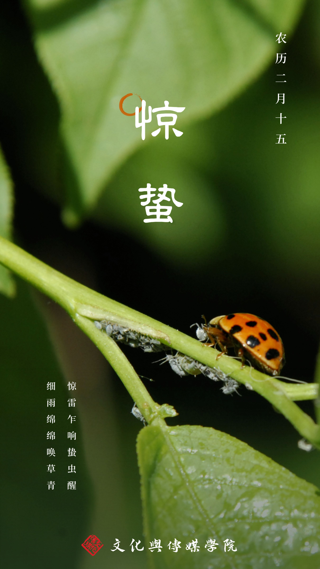 惊雷乍响蛰虫醒,细雨绵绵唤草青.(现代)崔洪才惊蛰