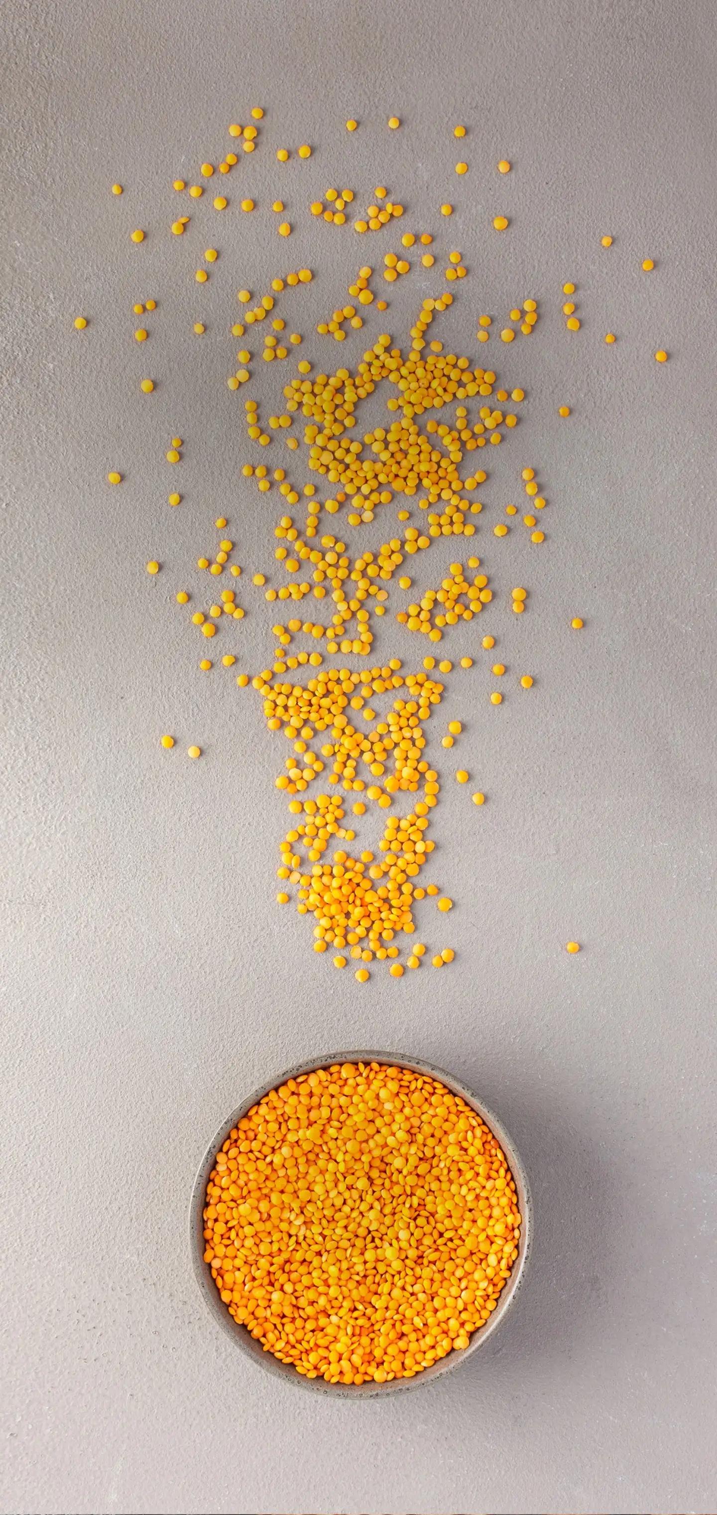 1440_3040竖版 竖屏