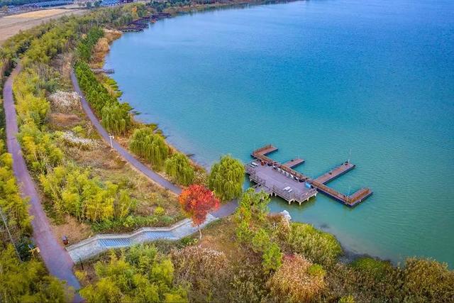 趣赤山湖 ∣ 当湿地飞鸟们晒起朋友圈.