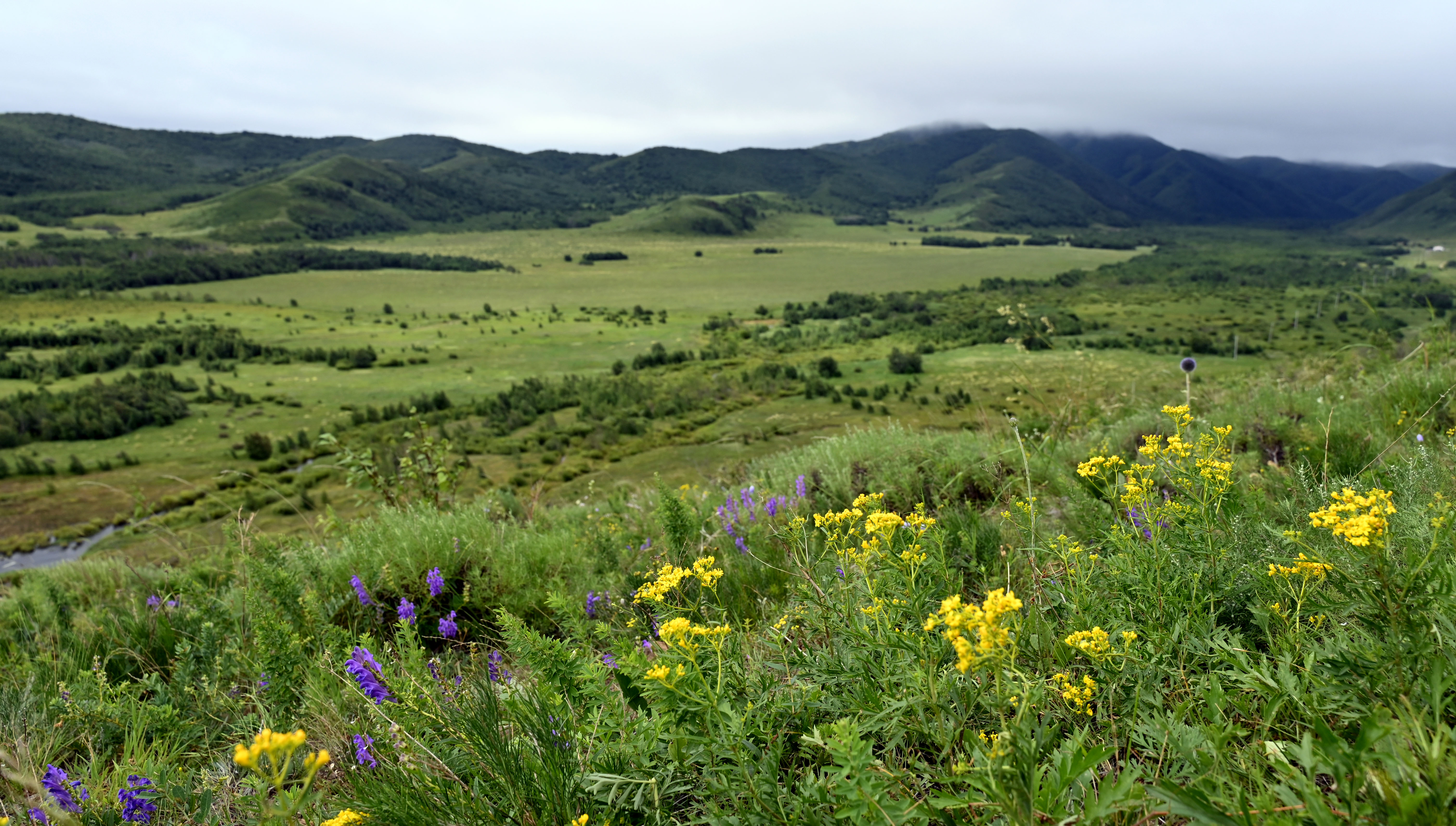 美丽中国丨走进罕山