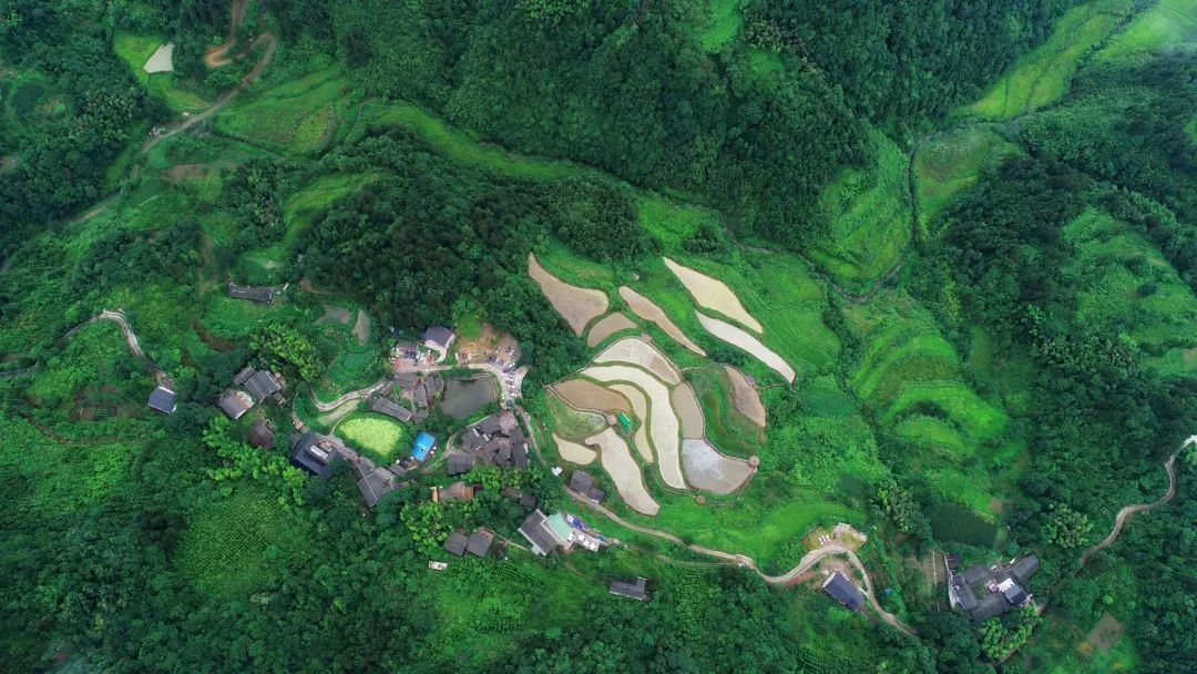 五号山谷:吾心悠然  安于山谷