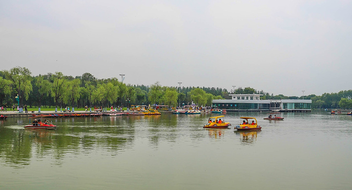 松江花上的夜明珠,哈尔滨的后花园,国旅游名片太阳岛