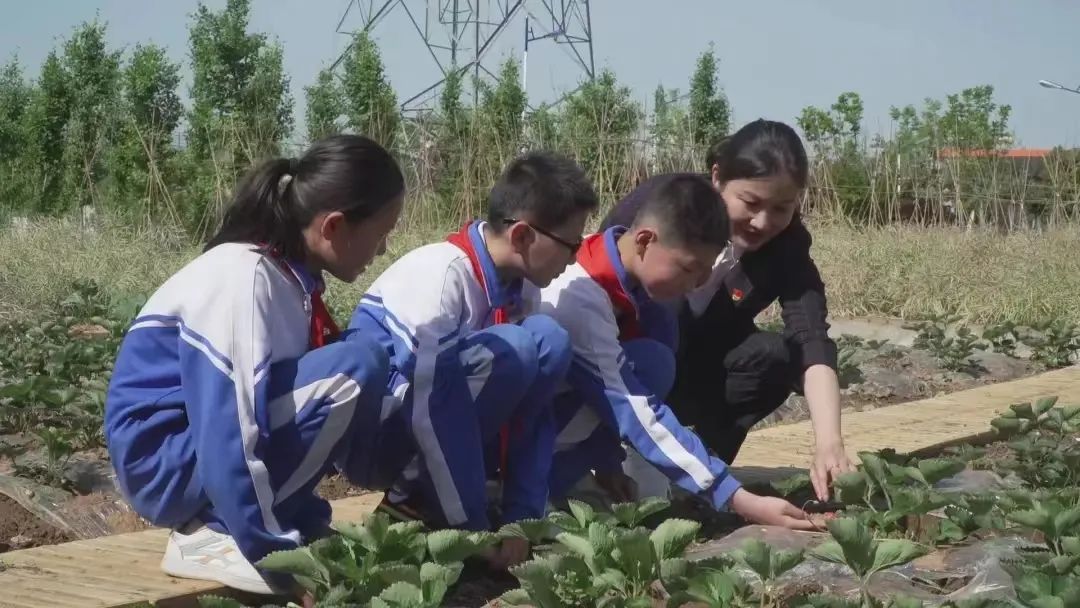 洋县城西小学图片