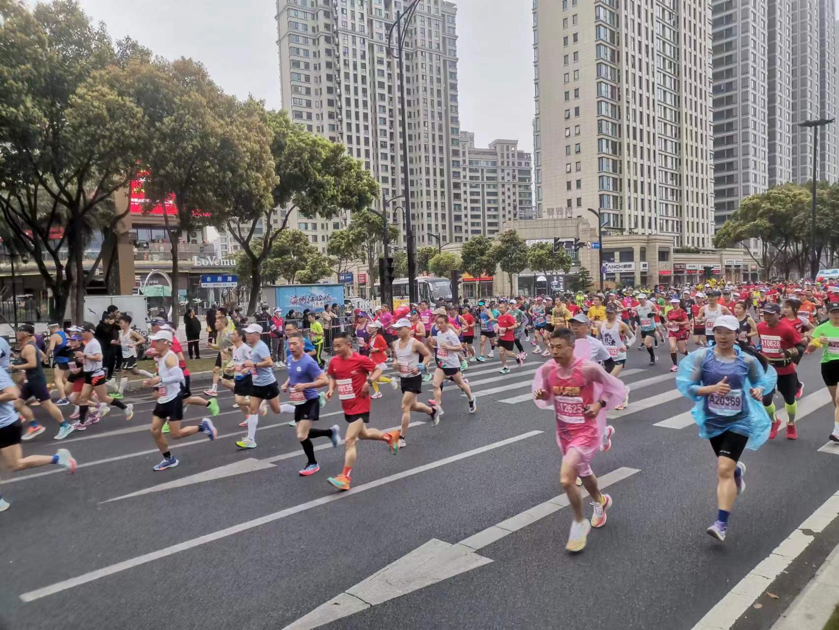 温州马拉松:一场展现人类精神和城市魅力的盛事