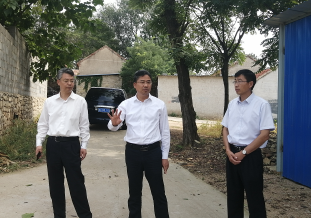 县委书记王义朴调研农村人居环境整治工作