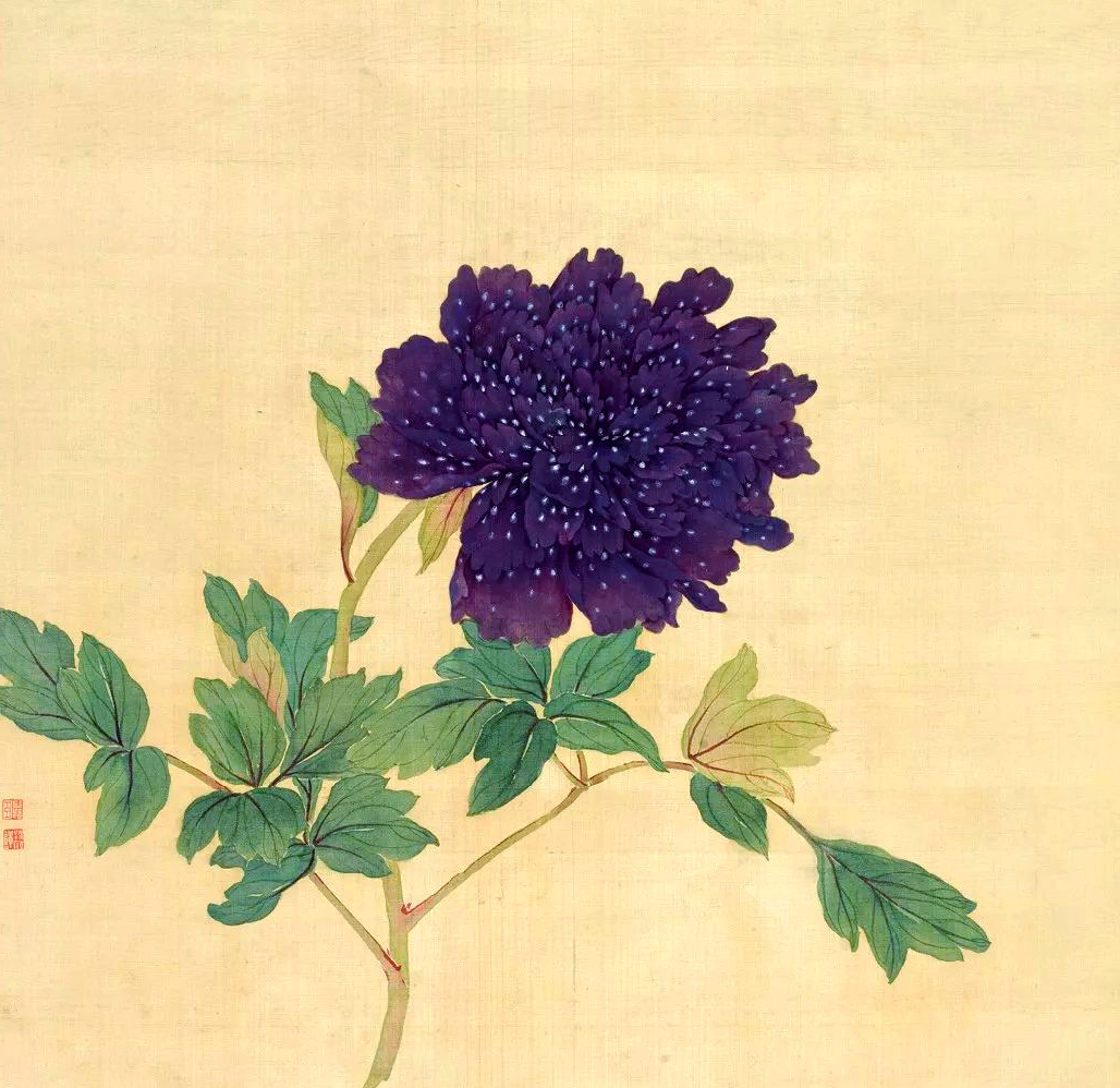 众多牡丹画,展现百种风情!